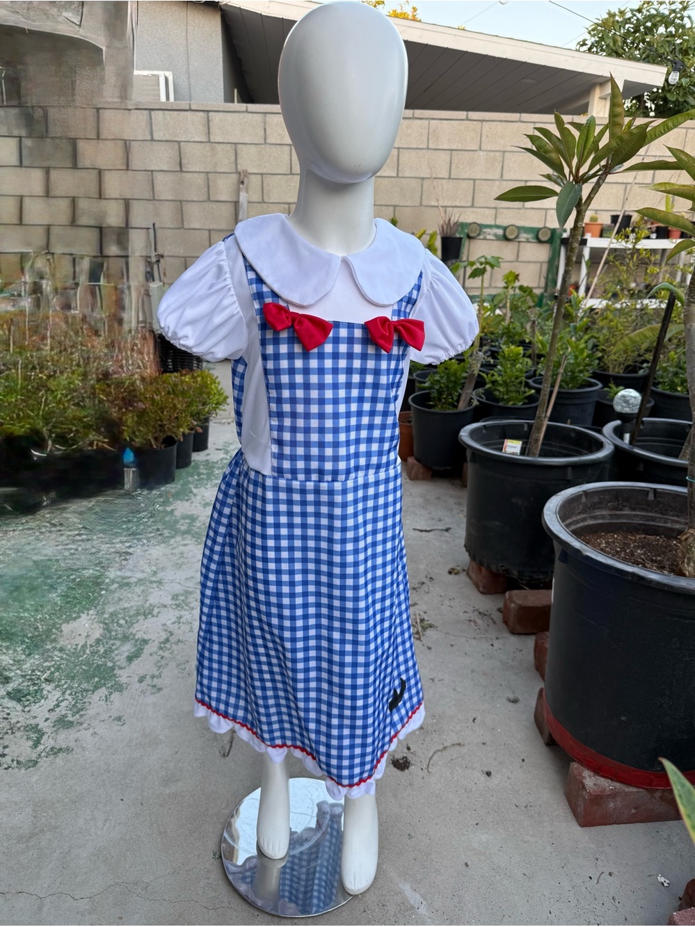 Dorthy from Wizard of Oz KIDS